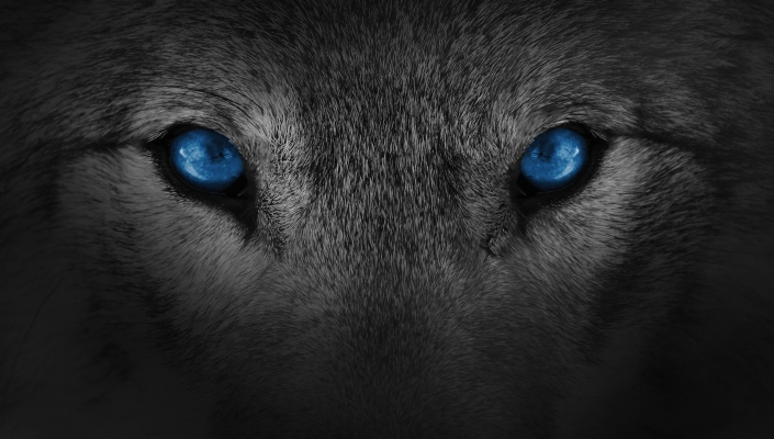Arctic Wolf improves MSP support with Frankfurt SOC