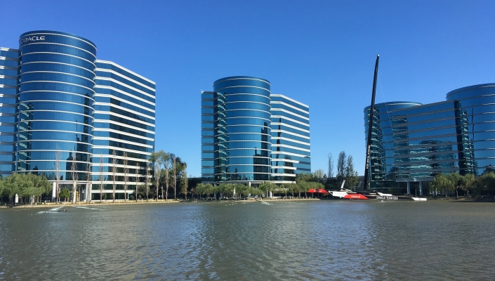 Oracle sales well up but profits are down