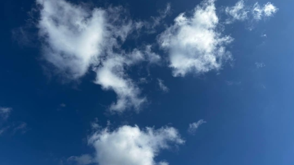 VMware draws the line on new cloud service provider programme