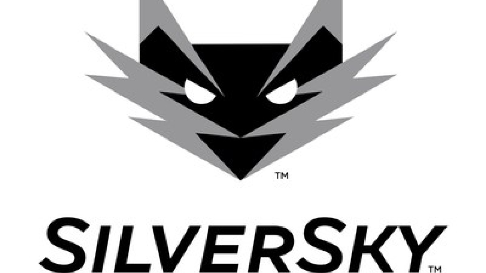 SilverSky chooses global channels head