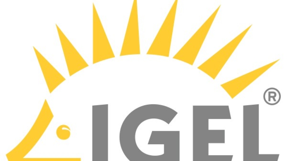 IGEL appoints channels expert for emerging markets