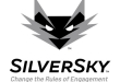 SilverSky chooses global channels head
