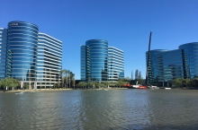 Oracle sales well up but profits are down