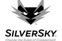 SilverSky chooses global channels head